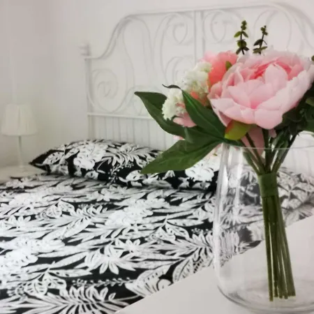 Casa Vacanze Il Rubino 펜션 *